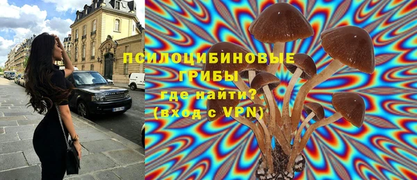 стафф Балабаново