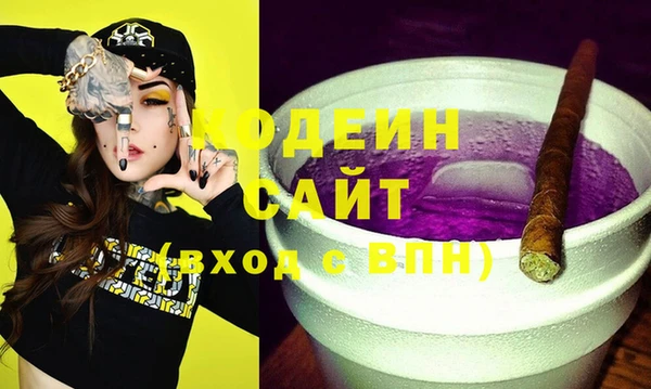 хмурый Семилуки